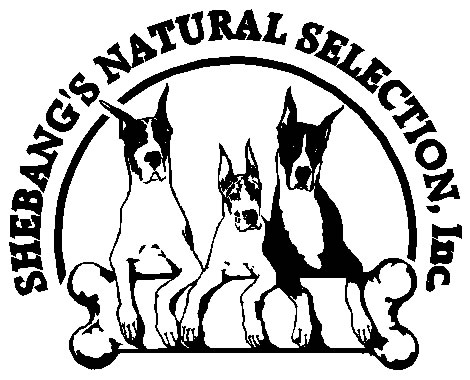 Shebang's Natural Selection, Inc